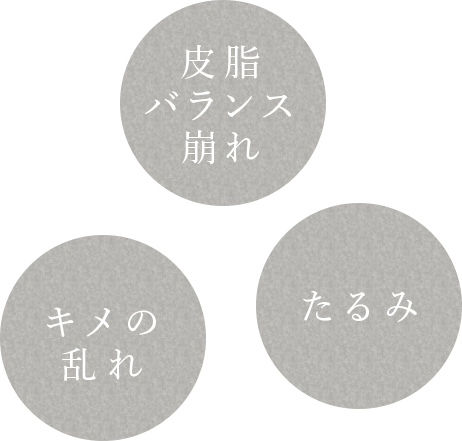 皮脂バランス崩れ たるみ キメの乱れ