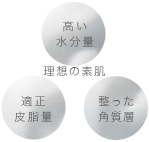 理想の素肌のバランス | 水分量・皮脂量・角質層